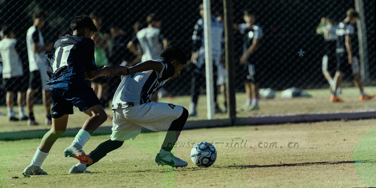 一排横向排列的半透明数据卡片，卡片内是条形与环形图表，青蓝底光铺满整幅画面